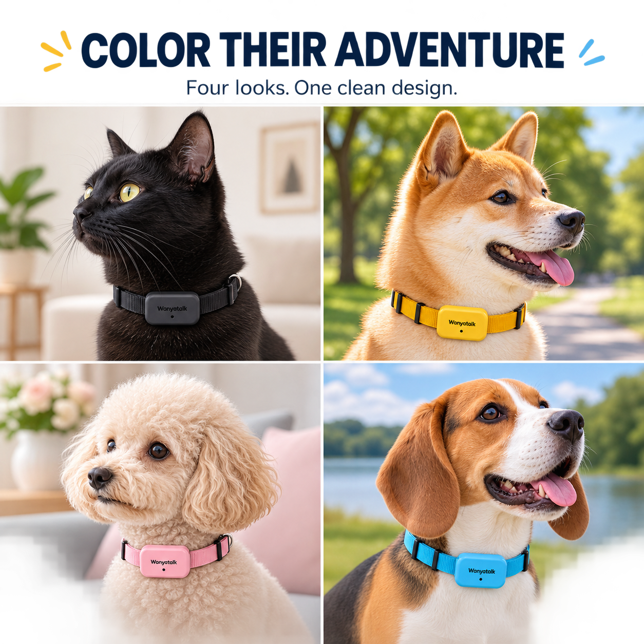 Four Wanyatalk colors on cats and dogs