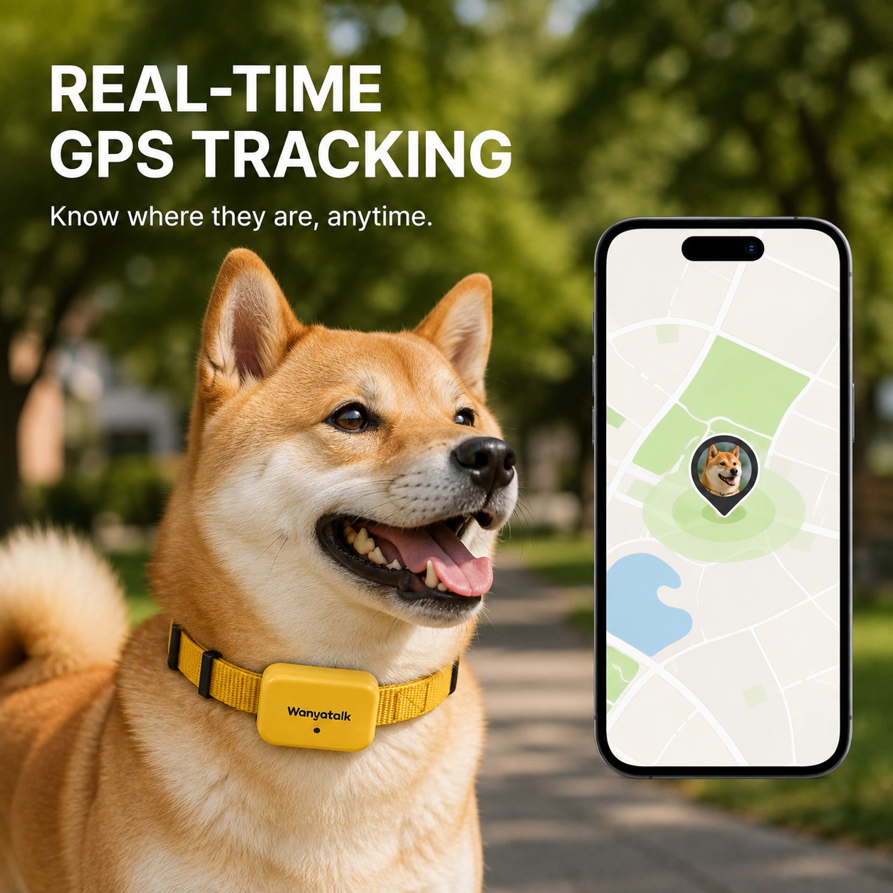 Shiba Inu wearing the yellow Wanyatalk collar