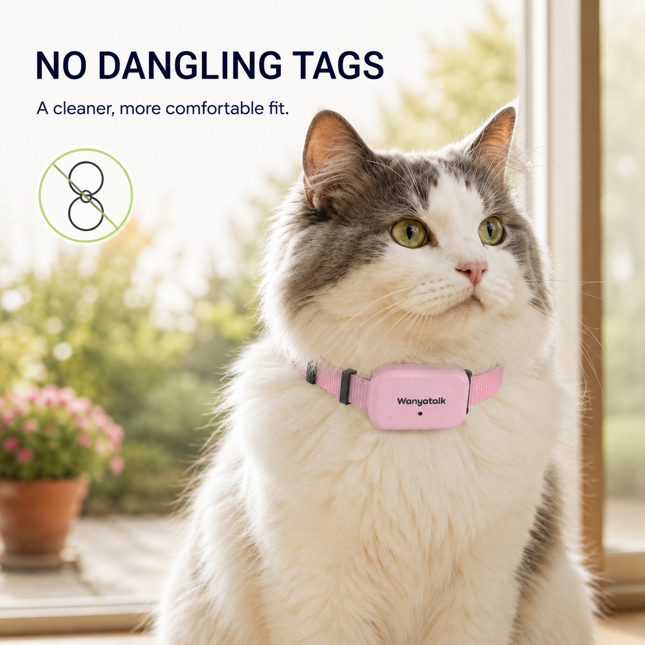 Cat wearing the pink Wanyatalk collar